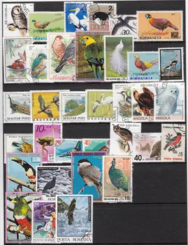 Нови 50 бр./лот Птица Всички се различава От много страни НЕ е Повторение на Неизползваните на пощенски марки за Колекционери